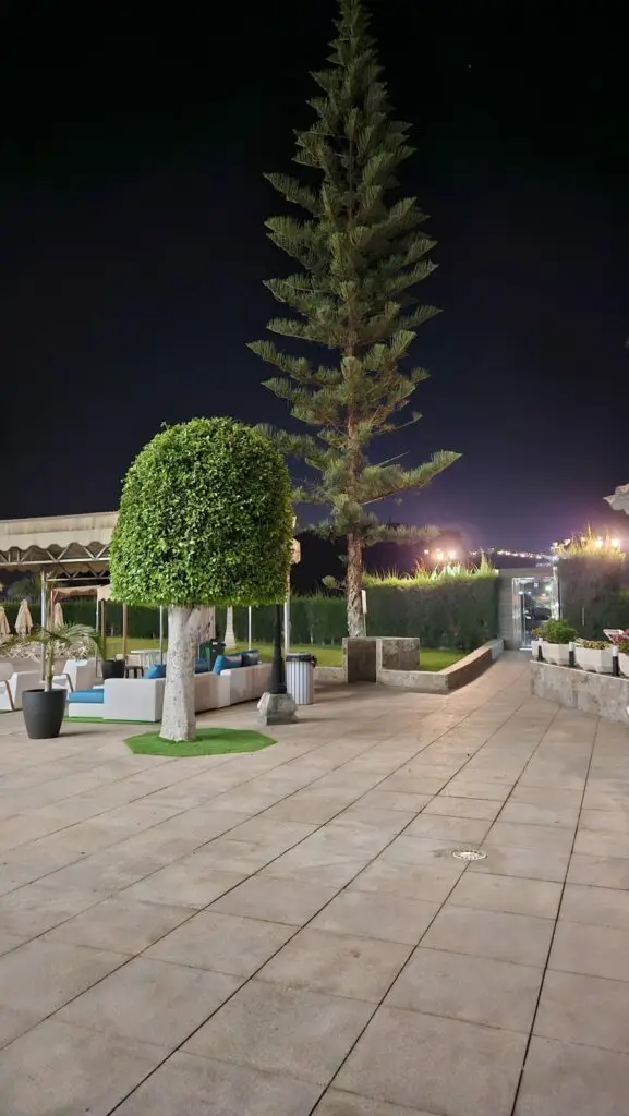 Cura Marina 2